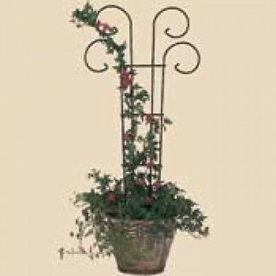 Bosmere L530 36 Inch Scroll Pot Trellis. Shipping is Free