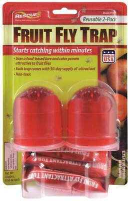 Trap Fruit Fly Two-pack