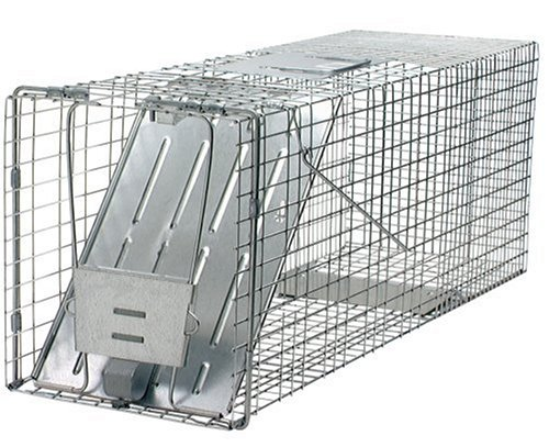 Havahart 1079 Large 1-Door Humane Animal Trap for Raccoons, Cats, Groundhogs, Op