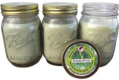 Natural Lavender Mosquito Repellent Candle (Set of 3)