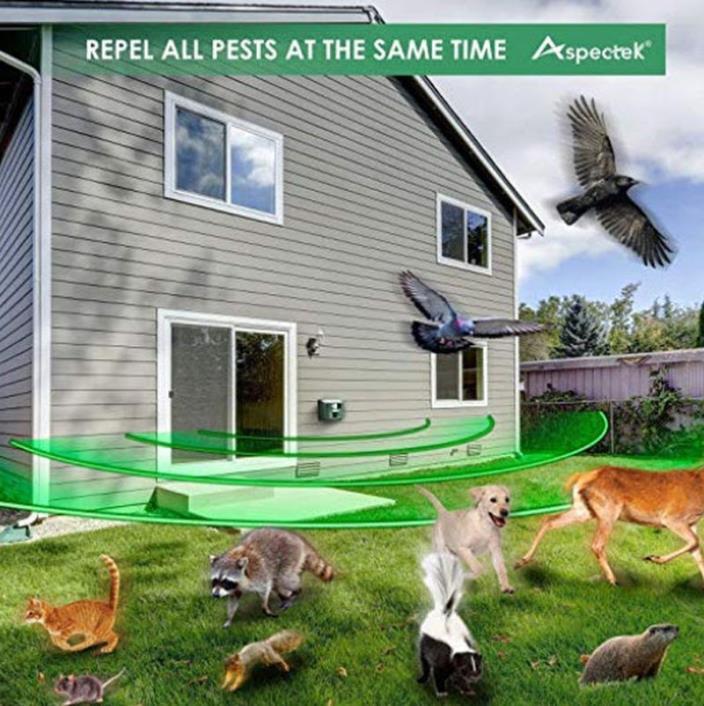 Repel Pests Powerful Yard Sentinel Humane No Chemicals by  Aspectec
