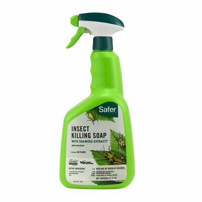 Safer Brand Insect Killing Soap 32 oz.