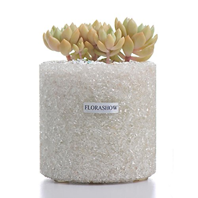 FLORASHOW Succulent Pots,White Crystal Materials 4.52 inch Succulent Planter for