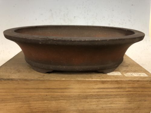 Unglazed Oval Unglazed Zenigo Bonsai Tree Pot 9 3/4”