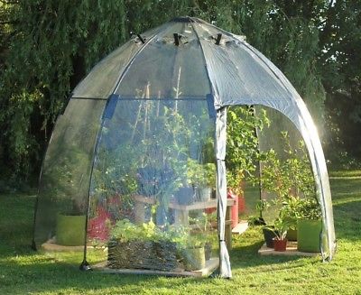 Tierra Garden Haxnicks 9 Ft. W x 9 Ft. D Greenhouse