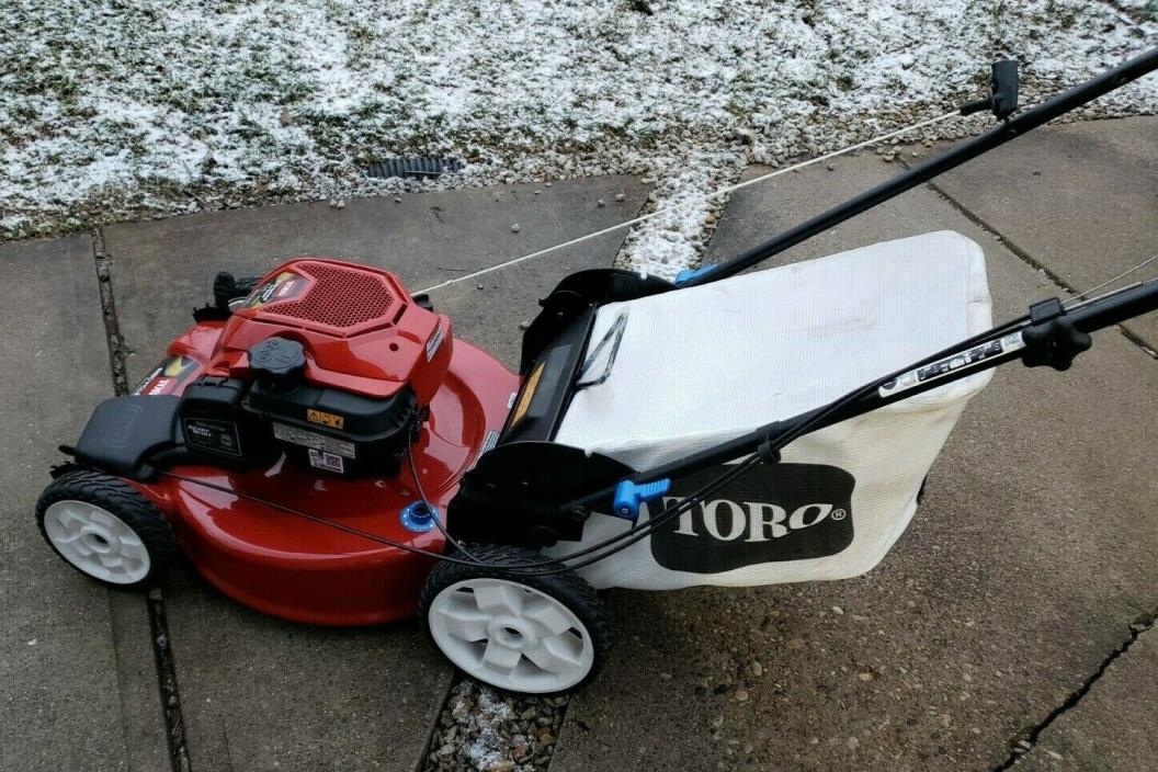 Toro Briggs & Stratton Smart Stow Mower 22