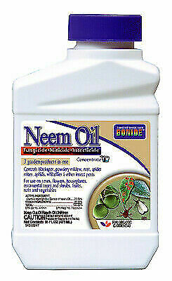 Bonide Products 024 Neem Oil, 16-oz.