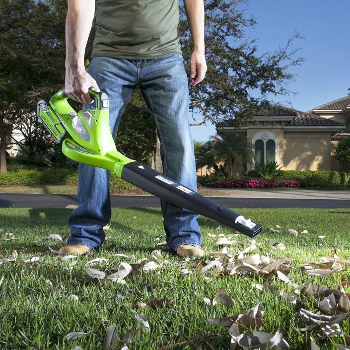 Cordless Leaf Blower With Battery Sweeper Garage Yard Leaves Grass Snow Light Pk