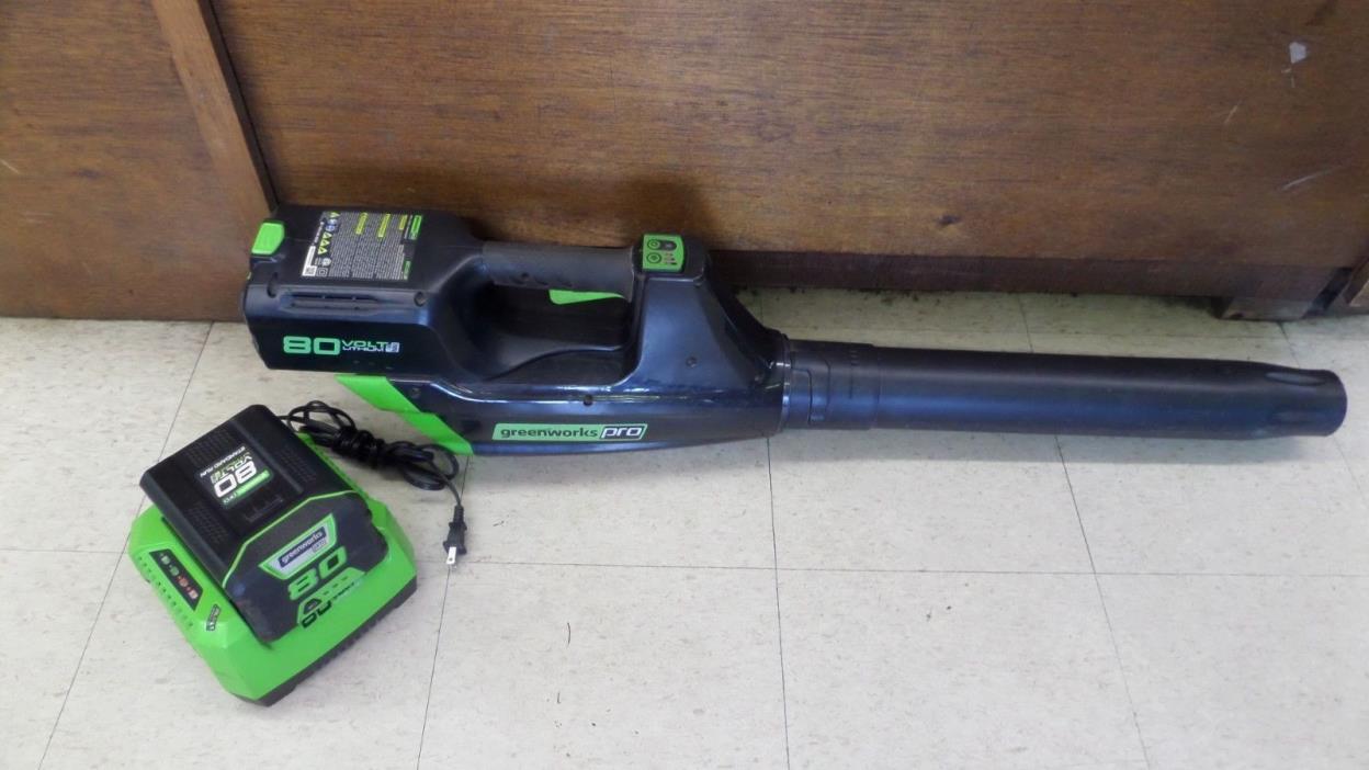 Greenworks Pro 125 MPH 80 Volt Brushless Li-Ion Cordless Blower with 2 batteries