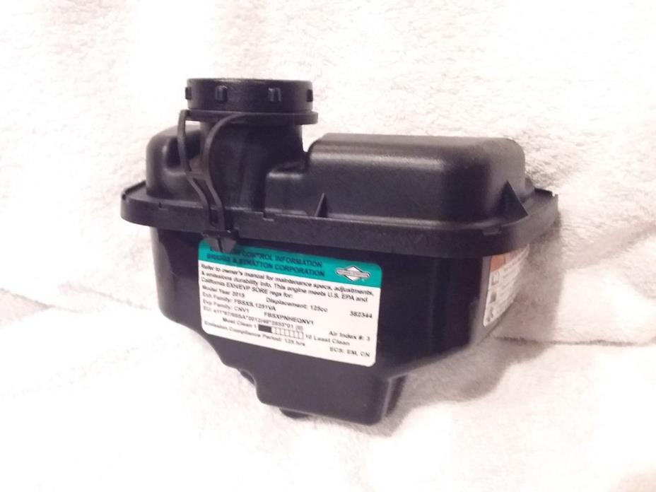Briggs & Stratton Used Fuel Tank 592559