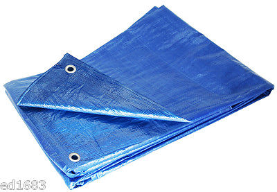 Water & Mildew Resistant Blue 8x 10 Tarp ?anopy Tent for Truck Car Boat Garden