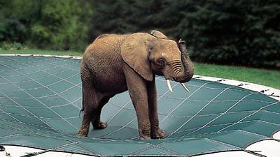 18 x 36 Rectangle Loop-Loc Ultra-Loc II Solid Safety Pool Cover with Mesh Drain
