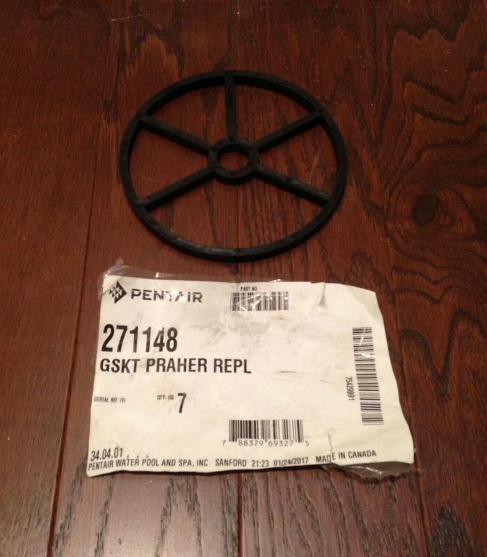 1 - OEM 271-148 SPIDER GASKET PENTAIR 2