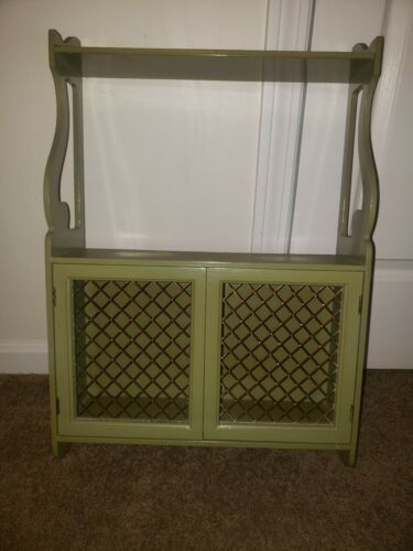 Vintage Mid Century Avacado Green 2 Shelf Cabinet With Dual Copper Wire Doors