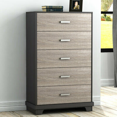 Trule Teen Avalos 5 Drawer Chest