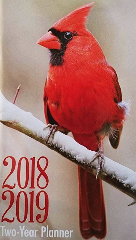 New 2018-2019 Planner Organizer Calendar Daily Weekly Monthly Agenda Cardinal
