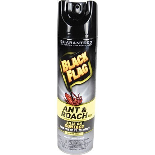 Diversion Safe Black Flag Insect Spray
