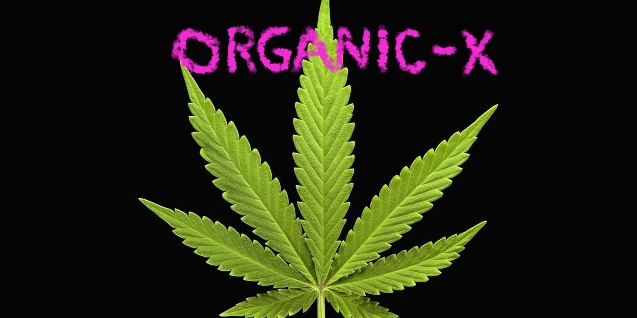 Organic-X.Com Domain Name Hemp Cannabis SALES Green Pharma RX Organic USA MEDS