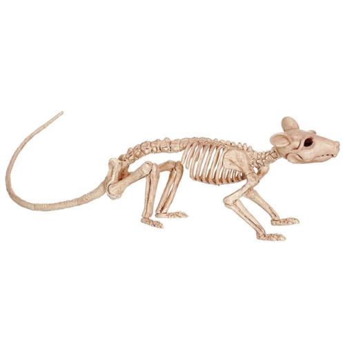 NEW Creepy Skeleton Rat Crazy Bonez Halloween Scary Decoration Decor Seasons