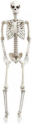 Moldable Skeleton Figure Hanging Decor 70.9 in. H Flexible Joints Plastic