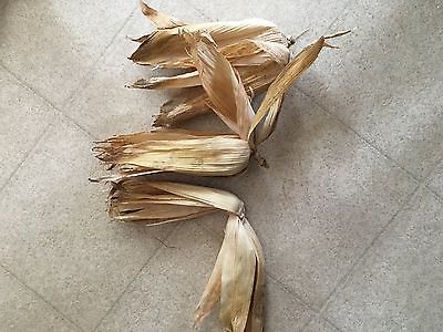 25 corn husks  shucks arts crafts