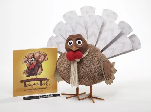 Turkey On The Table Book and Activity Kit Give Thanks Thanksgiving Tradition