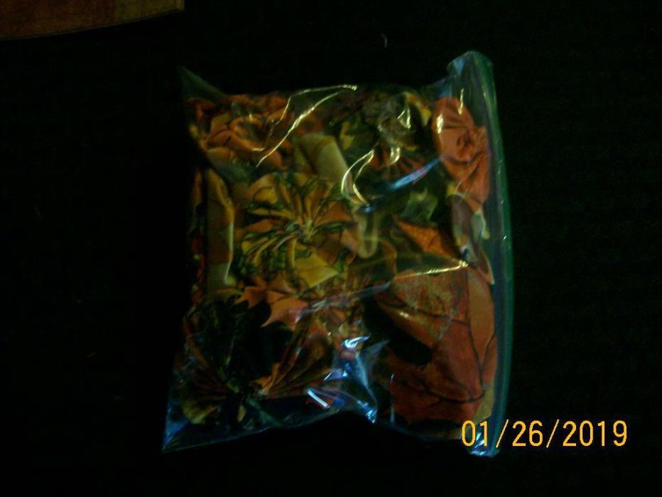 Halloween/Thanksgiving YOYO