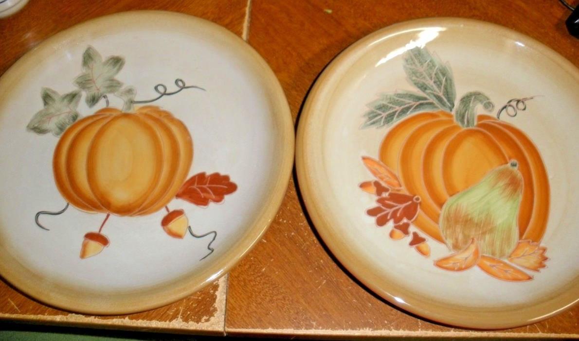 NEW lot of 2 Harvest Pumpkin Dinner Plates 9