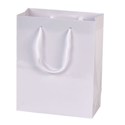 Bridal Paper Euro Tote Bags 100 Gift Cub Glossy White 8 x 4 x 10 Rope Handles
