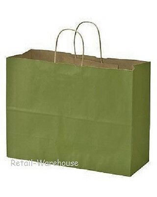 Paper Bags 25 Large Rain Green Gift Handles Merchandise Shopping 16