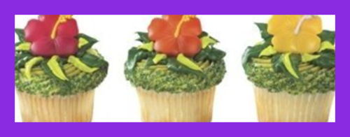 Beautiful Hawaiian Hibiscus Flower Cupcake Multi 24 Pack Kitchen