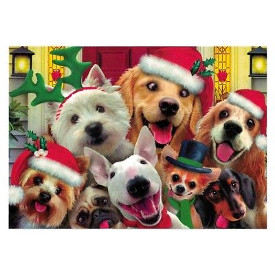 It's Christmas! Smiling Dogs Greeting Card. BestPysanky. Huge Saving