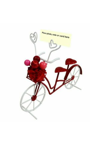 Valentine's Gift_celebrate Together_Bicycle Photo Clip_Friend_Girlfriend