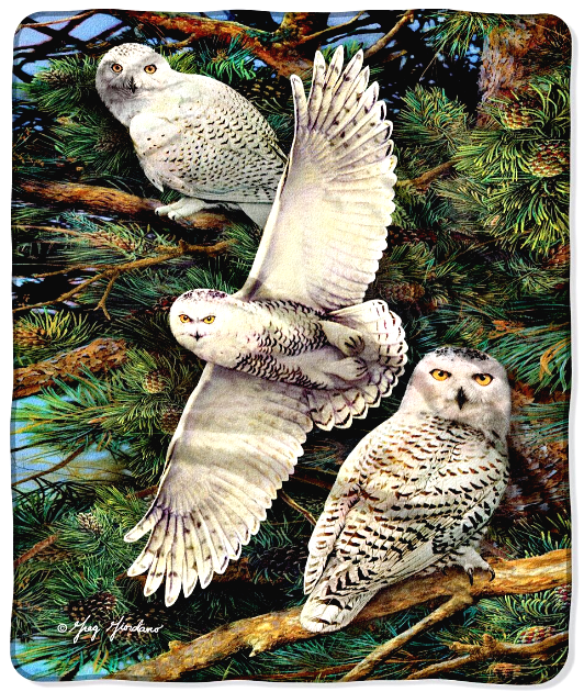 Blankets Throw Owl Animal Plush Soft Tapestry White Fleece Owls Decorative Decor