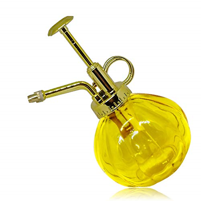 Plant Mister Flower Water Spray Bottle Can Pot | Vintage Pumpkin Style Glass Can
