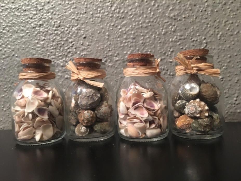 Glass Jar of Seashells Home Decor Sea Shells