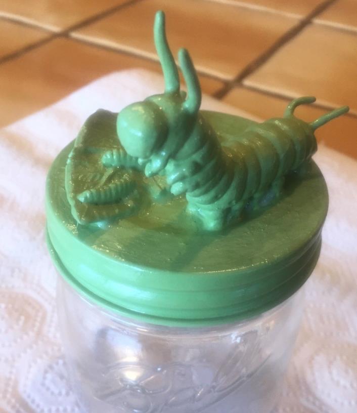 mason jar art candy caterpillar green hand painted bug fan gift larvae pupa desk