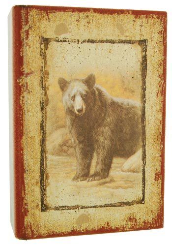 BEAR HIDE A BOOK Hard Covered Book Antique Looking Picture Hollowed Cabin Decor