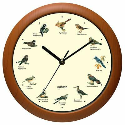 Wall Clock 12 Inch Singing Bird Battery Powered Beautiful Songs Sound Melody