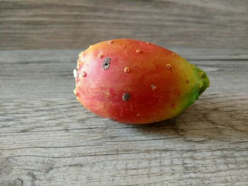 Vintage old  ITALIAN Alabaster CARVED Stone FRUIT CACTUS Prickly Pear Agostani