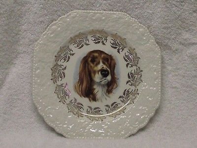 Lord Nelson Pottery England 3-70 Spaniel Dog Plate