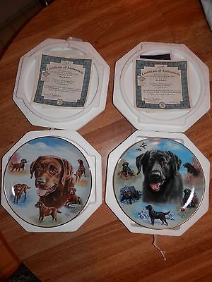 Bradford Decorative Plates Limited BEST BUDDY Set of 2 Labs Dogs NEW Hunt