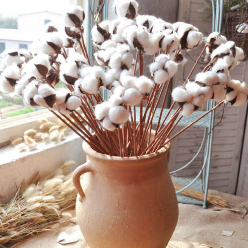 10pcs Single Head Dried Flower Cotton Artificial Cotton Branch Stems Floral