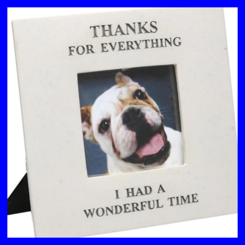 Thanks For Everything I Had A Wonderful Time In Memory Of Pet Picture Frame By