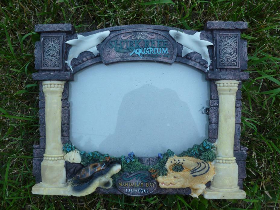 Shark Reef Aquarium Mandalay Bay Las Vegas 3d Picture Frame Turtle & Alligator