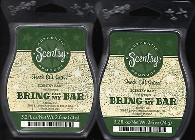 LOT OF 2 BN SCENTSY RETIRED 