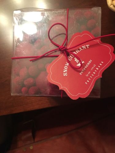 Pottery Barn Snow Currant Potpourri