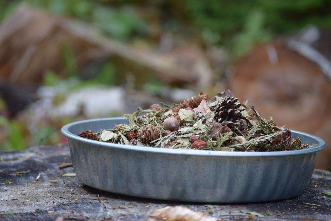Maine Woods Potpourri Natural Rustic 6 Cup Bag
