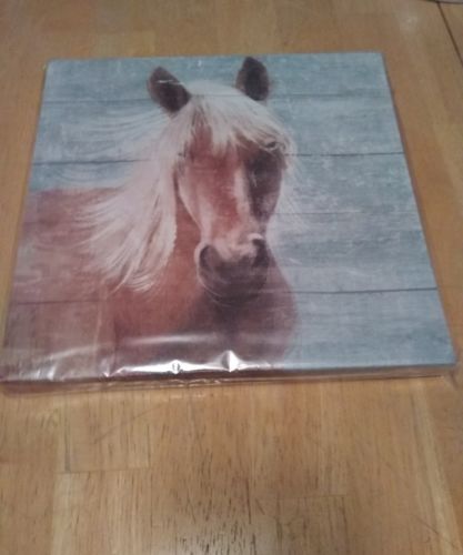 Farmhouse Decor Horse Mane Farm Canvas Wall Art Country Barn 8.5 x 8.5 brand new
