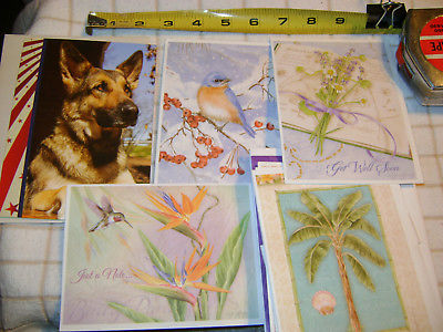 20 Unique Greeting Cards Birthday Thank You etc Pets Flowers etc w/Envelopes New